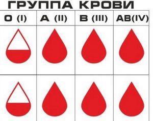 Какими цифрами обозначены изображения крови