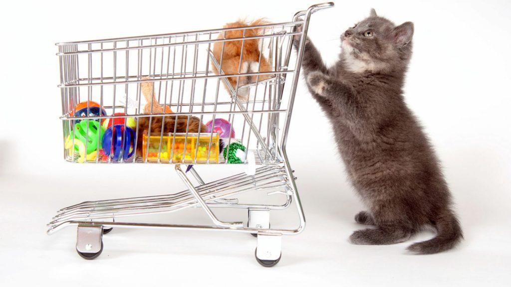 Преимущества интернет-магазинов для домашних животных