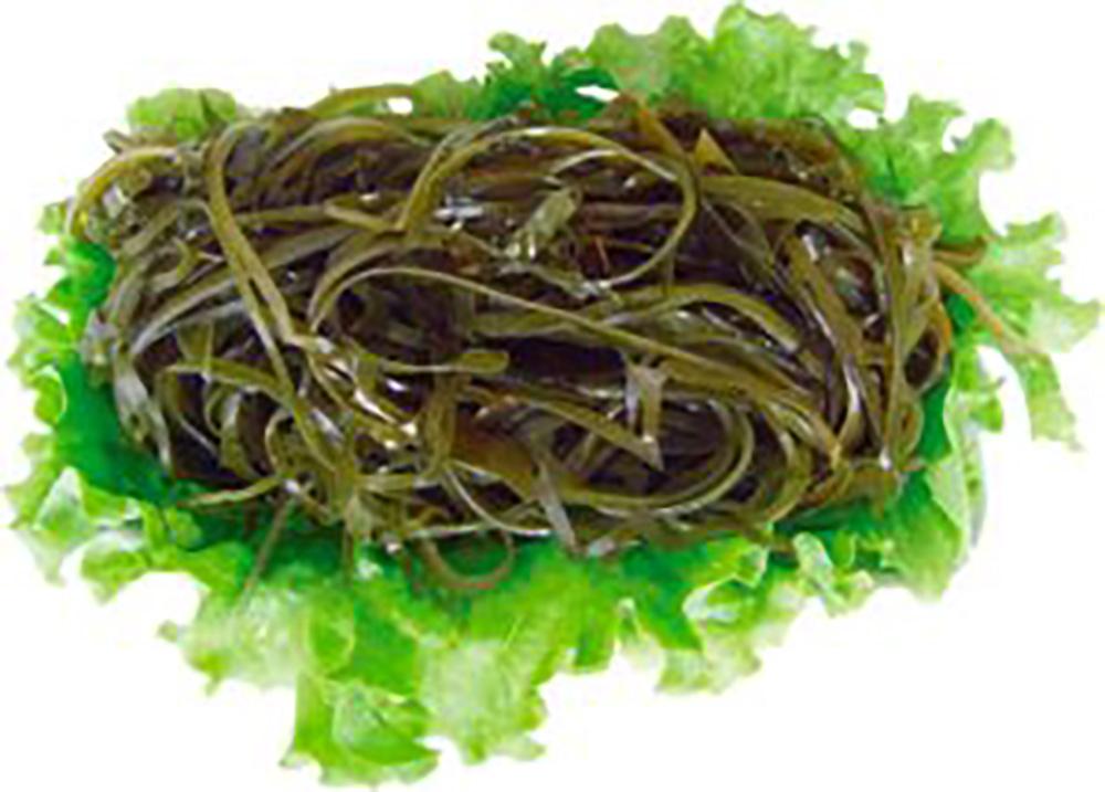 Ламинария съедобна. Водоросли морская капуста. Капуста ламинария. Съедобная бурая водоросль, "морская капуста". Ламинария съедобная водоросль.